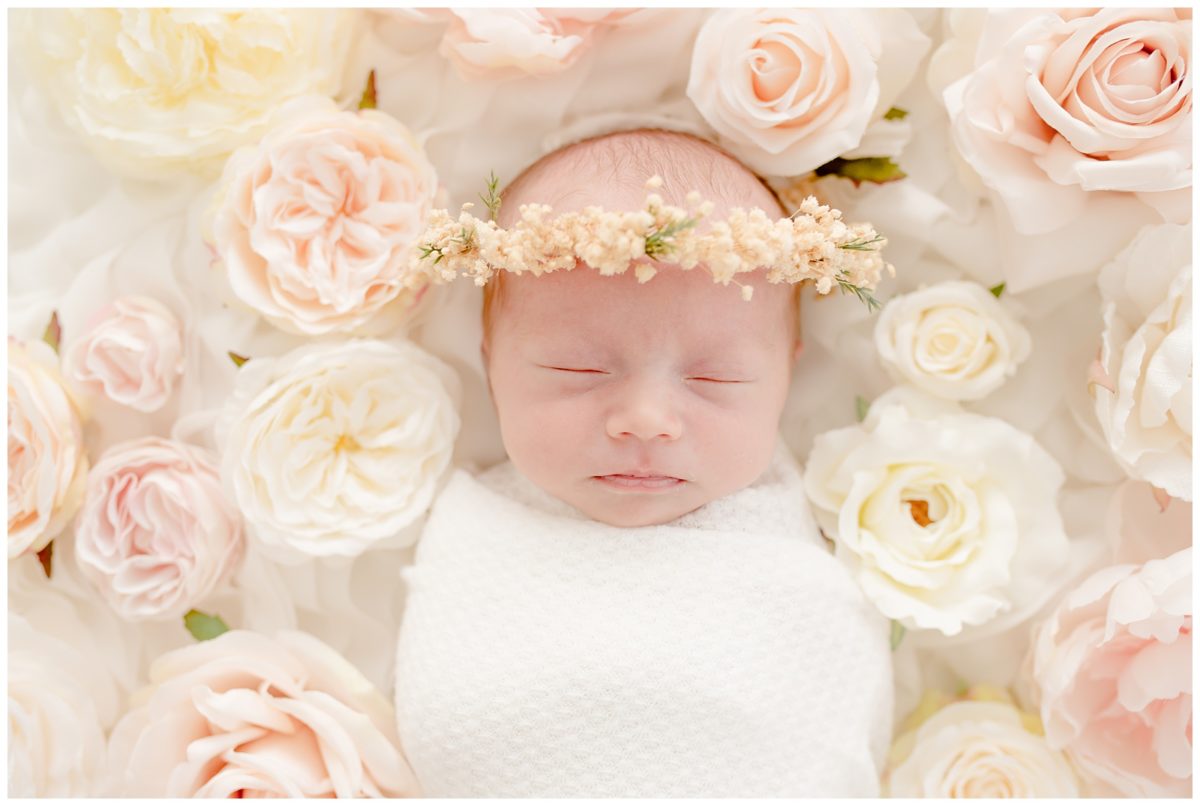 austin baby and newborn photography