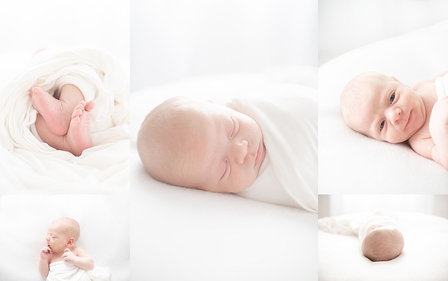Austin Newborn Portraits