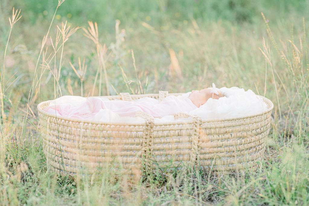 austin newborn photographer